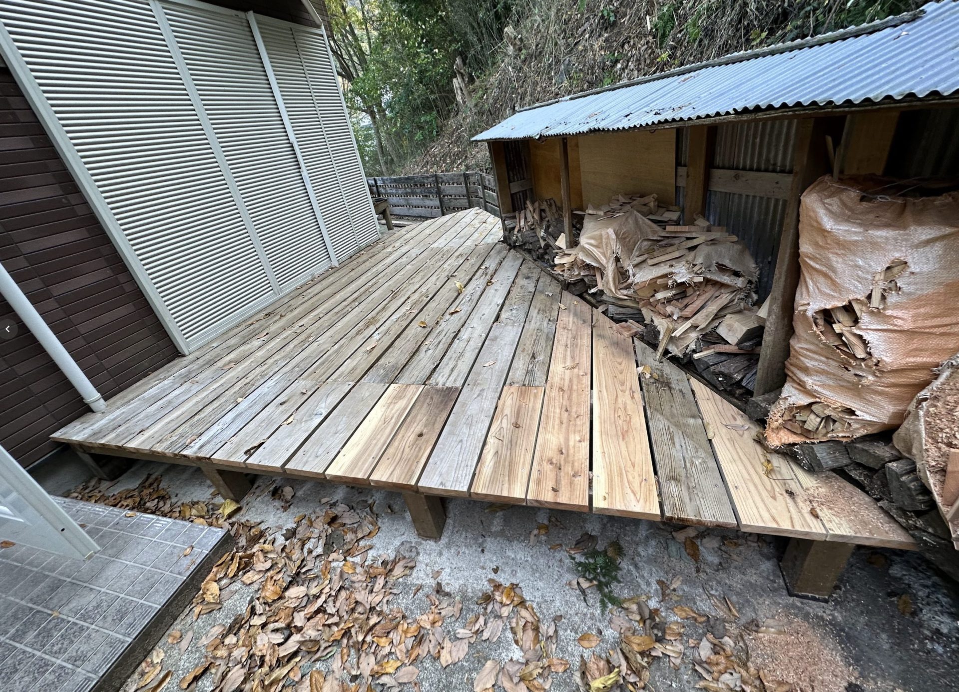 落ち葉が散乱した敷地の現状