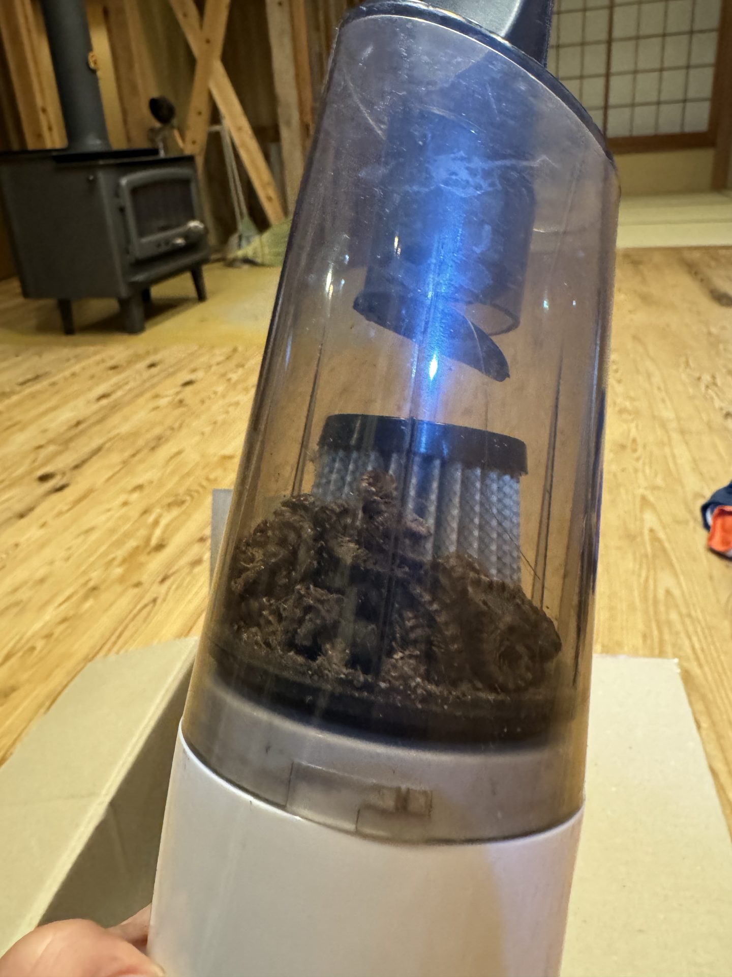 1週間で溜まったヤスデの死骸